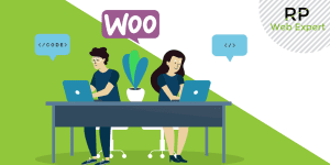 Woocommerce Developer